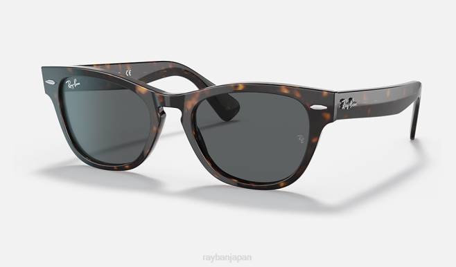 Ray-Ban ポリッシュドトータス/ダークグレー 男性 ララミー サングラス 44RX1227