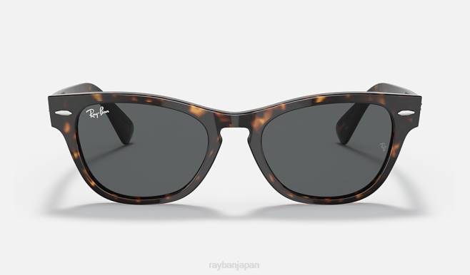 Ray-Ban ポリッシュドトータス/ダークグレー 男性 ララミー サングラス 44RX1227