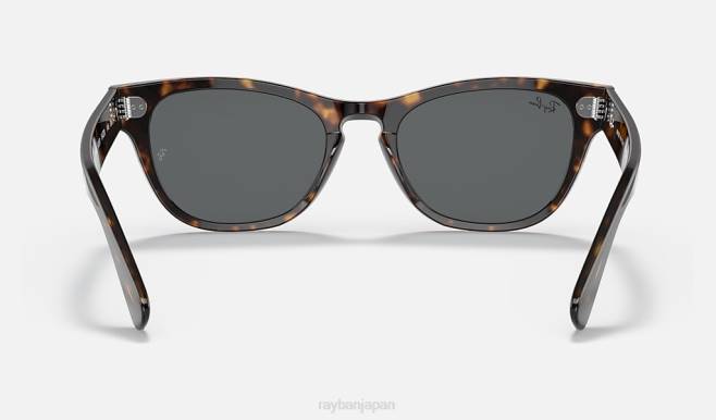 Ray-Ban ポリッシュドトータス/ダークグレー 男性 ララミー サングラス 44RX1227