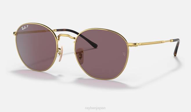 Ray-Ban ポリッシュゴールド/バイオレット 男性 強盗 サングラス 44RX1401