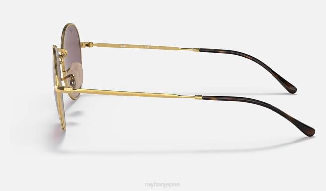 Ray-Ban ポリッシュゴールド/バイオレット 男性 デビッド サングラス 44RX1427