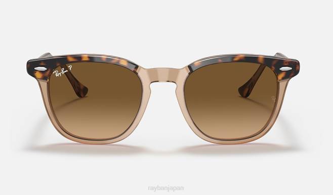 Ray-Ban 透明なブラウン/ブラウンに磨かれたハバナ 男性 ホークアイ サングラス 44RX172