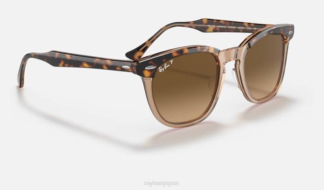 Ray-Ban 透明なブラウン/ブラウンに磨かれたハバナ 男性 ホークアイ サングラス 44RX172