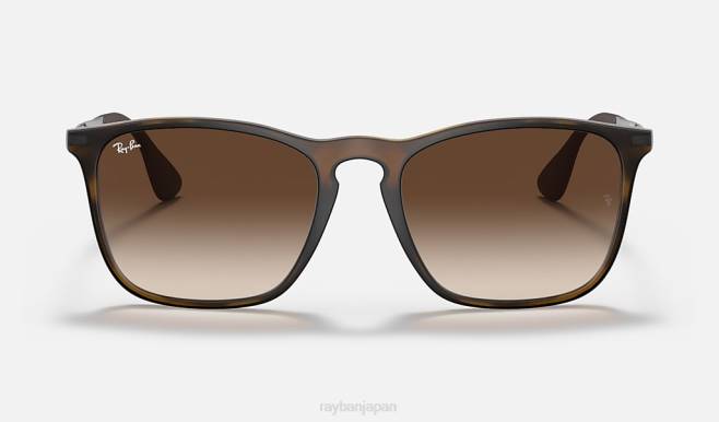 Ray-Ban マットハバナ/ブラウン 男性 クリス サングラス 44RX230