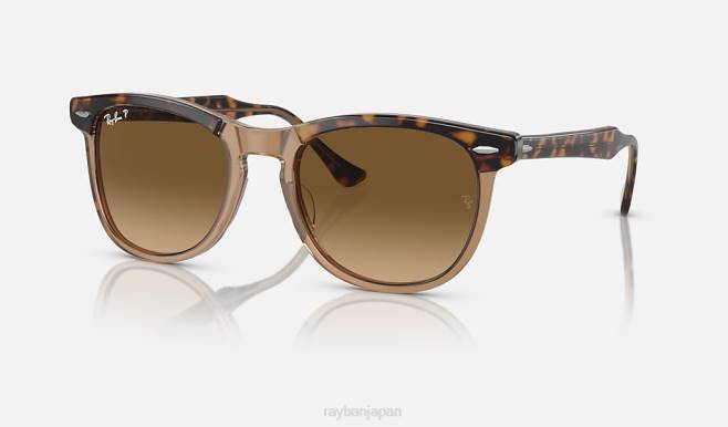 Ray-Ban 透明なブラウン/ブラウンに磨かれたハバナ 男性 鋭い目 サングラス 44RX249