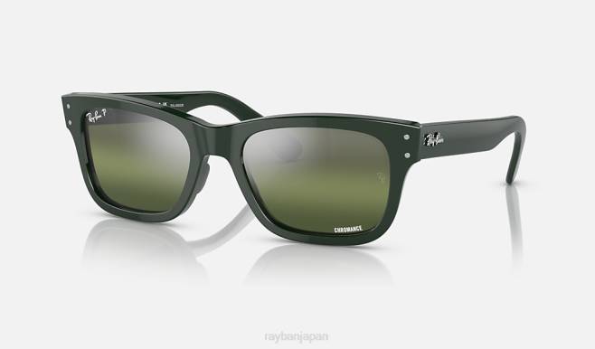 Ray-Ban ポリッシュグリーン/グリーン 男性 バーバンク サングラス 44RX285