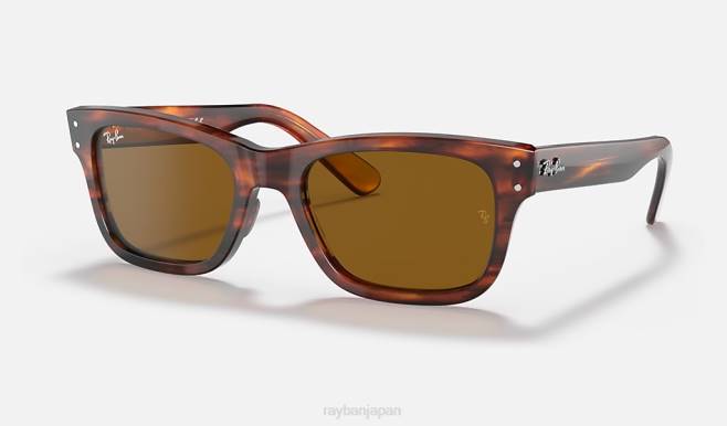 Ray-Ban ポリッシュドハバナ/ブラウン 男性 バーバンク サングラス 44RX289