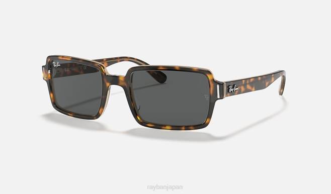 Ray-Ban 透明なブラウン/ダークグレーに磨かれたハバナ 男性 ベンジー サングラス 44RX480