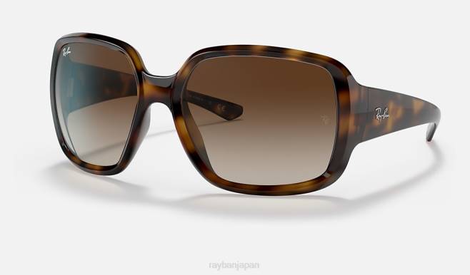 Ray-Ban ポリッシュドハバナ/ブラウン 男性 rb4347 サングラス 44RX937